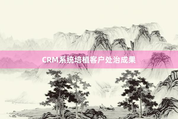 CRM系统培植客户处治成果