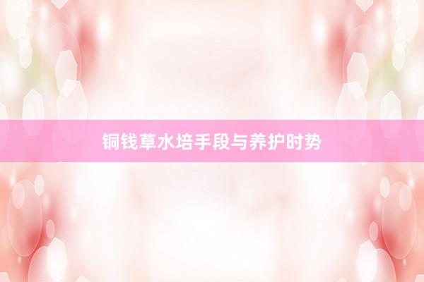 铜钱草水培手段与养护时势